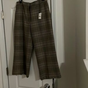 CropPant w/burgundy, grey. 62 percent poly., 33 percent Rayon, 5 percent Spandex